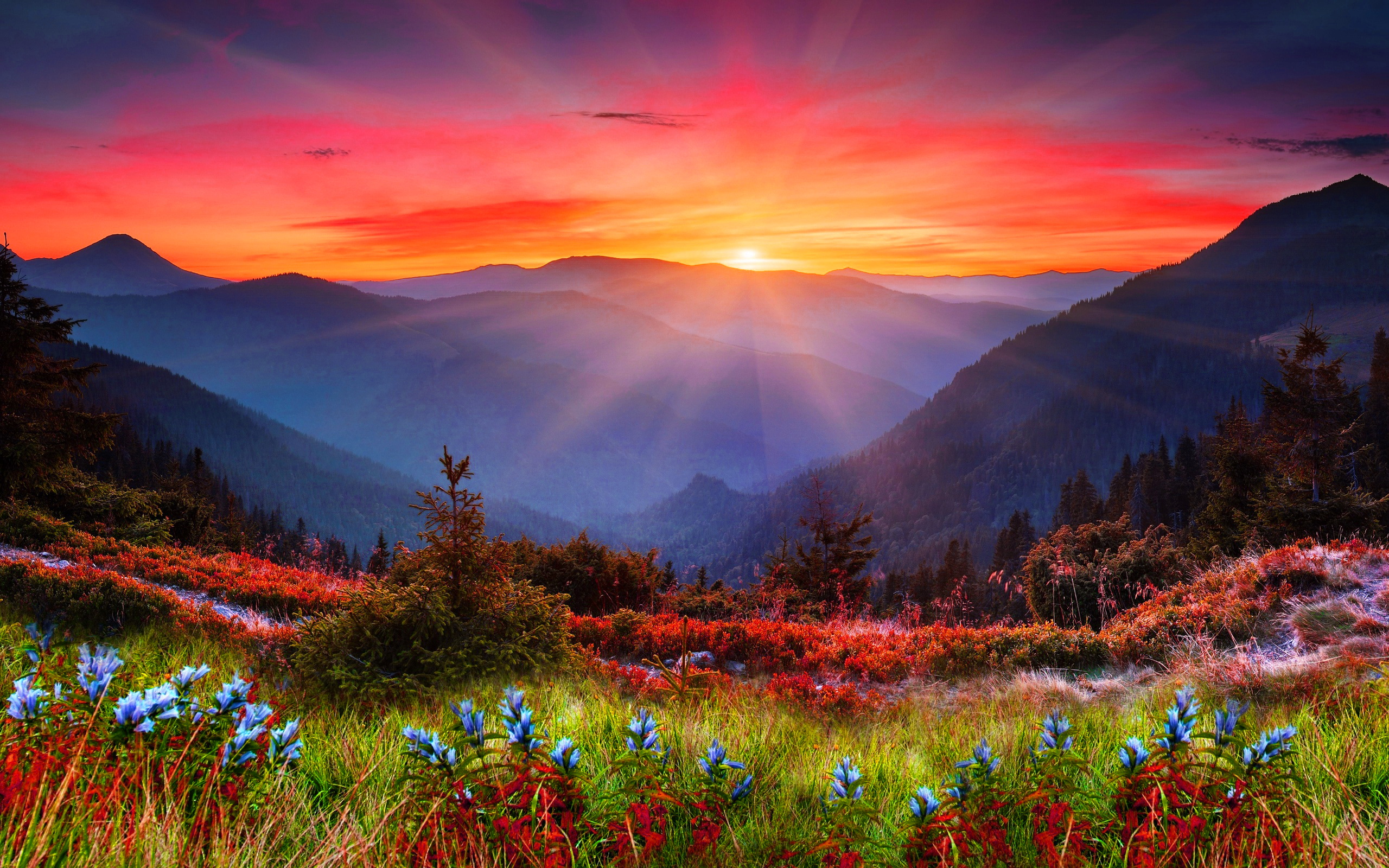 majestuoso fondo de pantalla,naturaleza,paisaje natural,cielo,montaña,amanecer