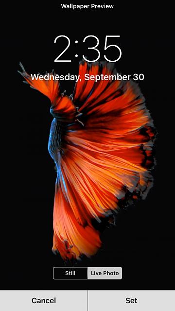 fondo de pantalla predeterminado del iphone 6s,naranja,rojo,producto,texto,tapa del libro