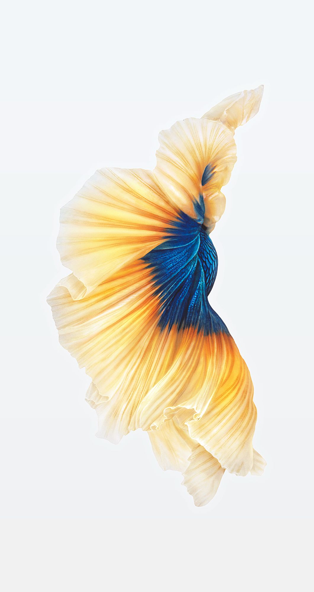 fond d'écran par défaut de l'iphone 6s,blanc,bleu,jaune,orange,turquoise