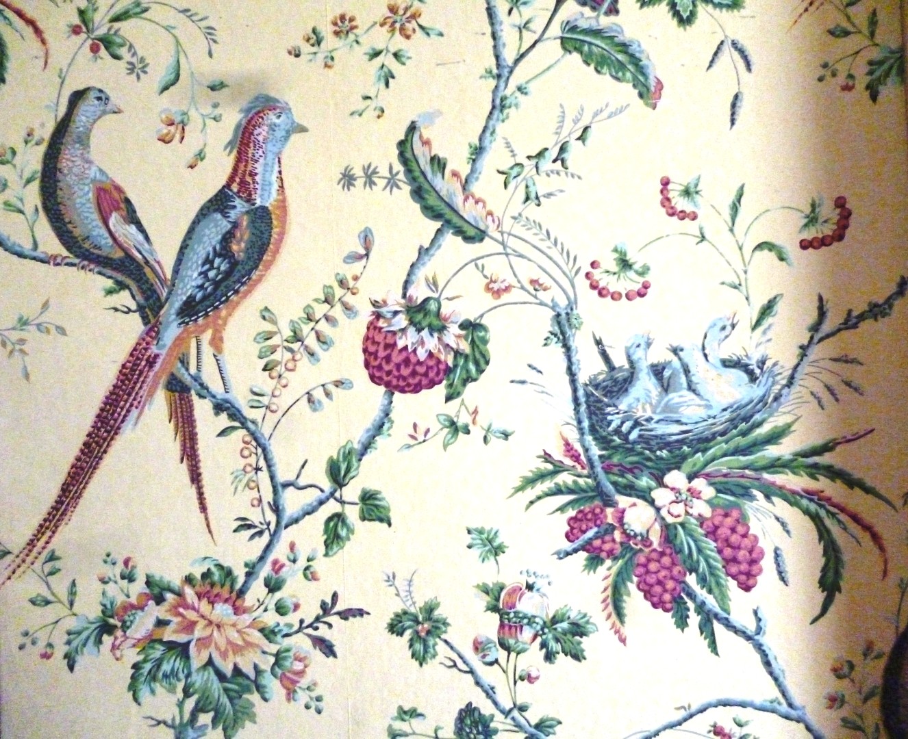 old fashioned wallpaper,botany,bird,plant,pattern,textile