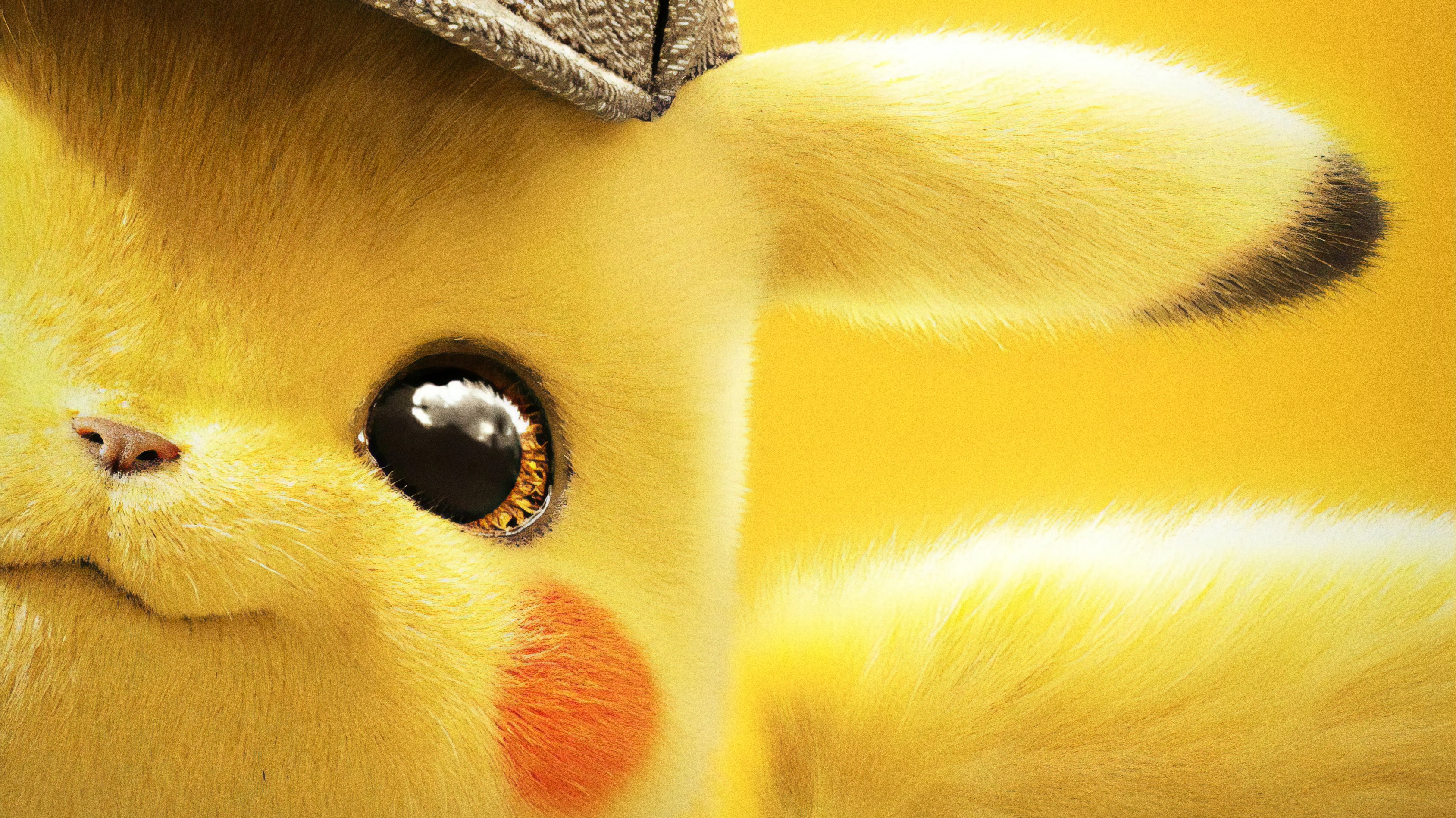 lindo pikachu fondos de pantalla hd,amarillo,de cerca,hocico,piel,fotografía macro