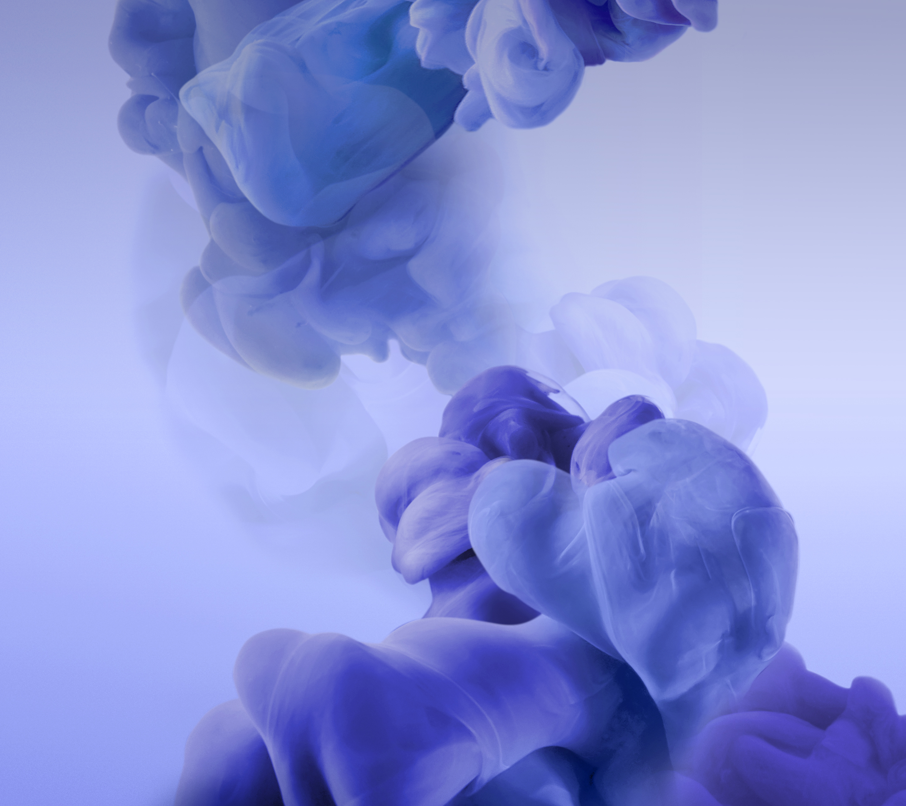 Htcストック壁紙 青い 花弁 バイオレット 紫の 花 Wallpaperuse Htcストック壁紙 青い 花弁 バイオレット 紫の 花 Wallpaperuse