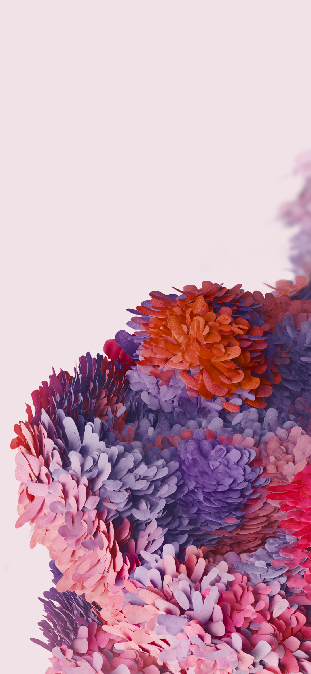 삼성 갤럭시 원본 벽지,꽃,보라색,분홍,제비꽃,라벤더