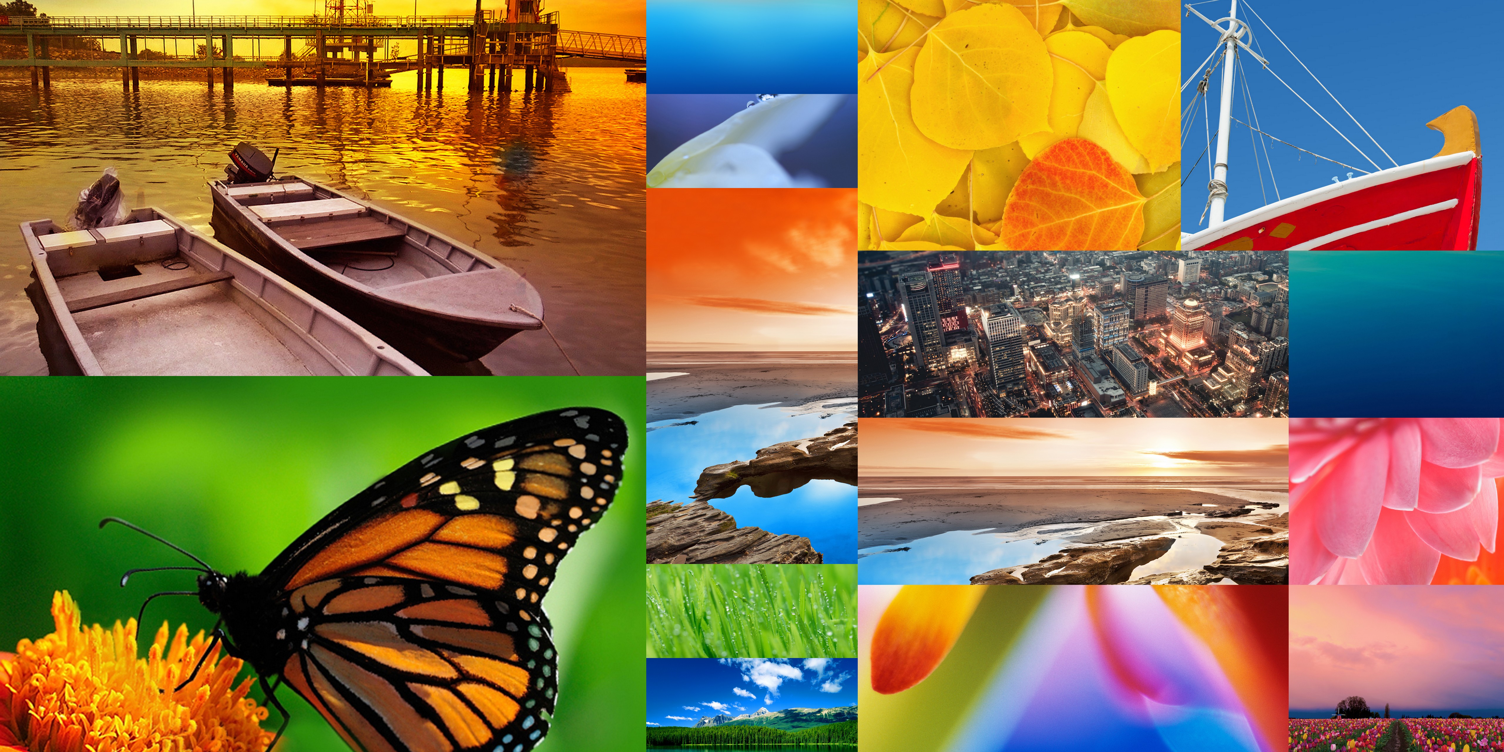 lenovo stock wallpapers,butterfly,monarch butterfly,nature,natural landscape,moths and butterflies