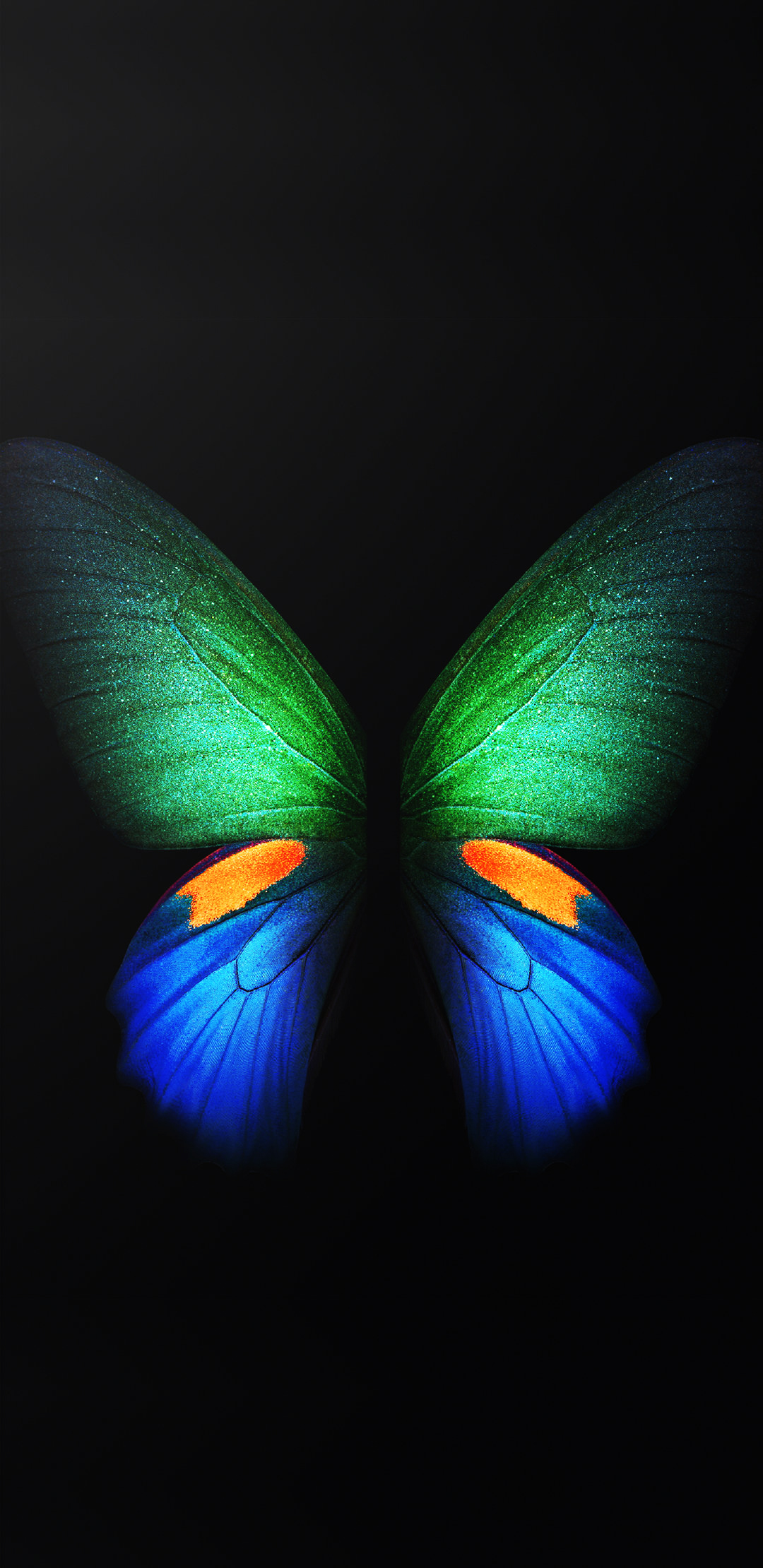 sfondi samsung stock,la farfalla,insetto,blu,verde,falene e farfalle