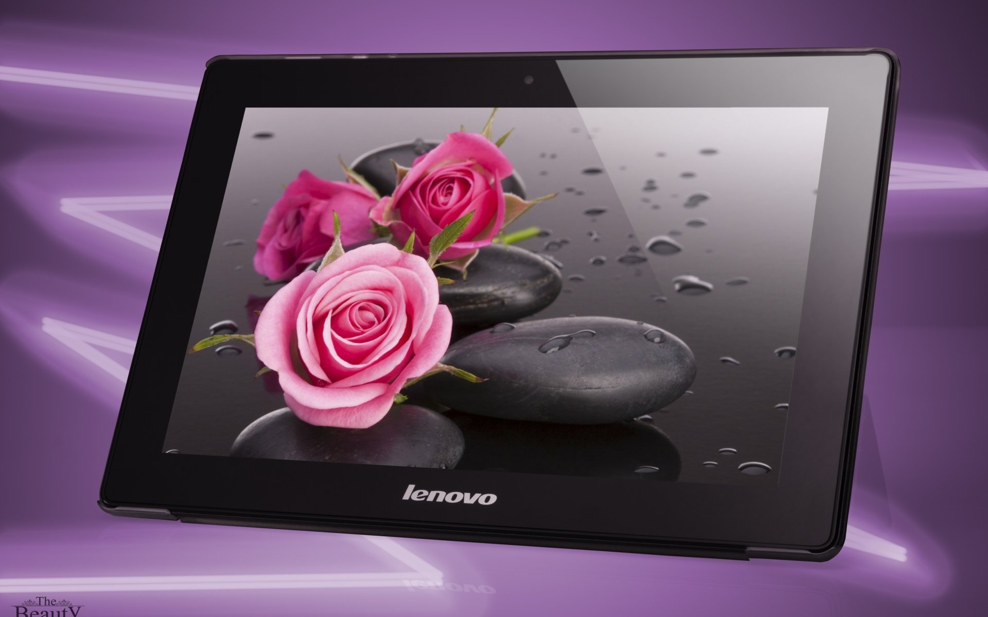 lenovo tablet wallpaper,pink,product,rose family,rose,petal