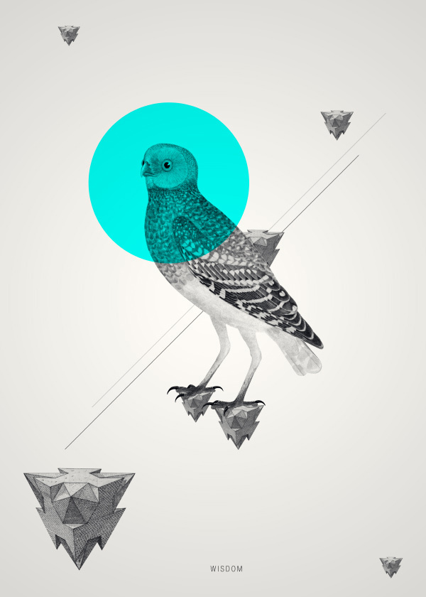 geometrische tiertapete,vogel,illustration,grafikdesign,kunst,zeichnung