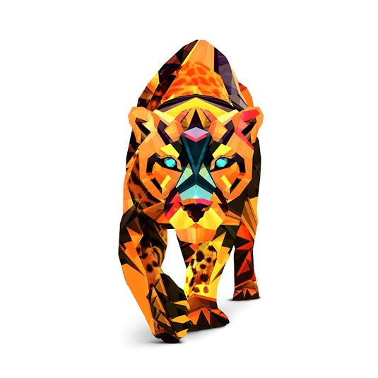 papier peint animal géométrique,orange,tigre du bengale,félidés,faune,tigre