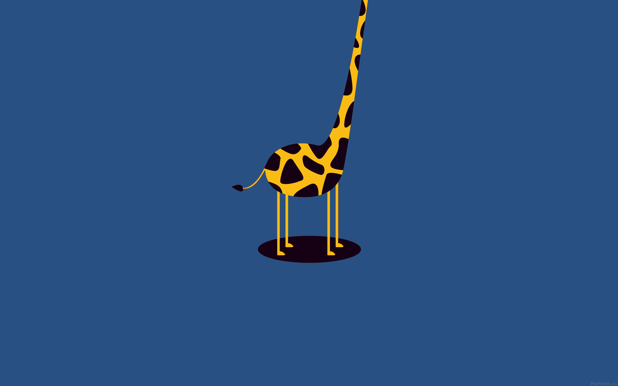 fond d'écran mignon et simple,girafe,giraffidae,drapeau