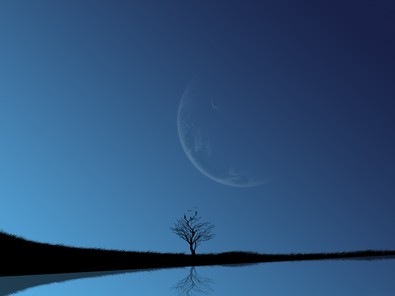 minimalist nature wallpaper,sky,blue,nature,natural landscape,tree