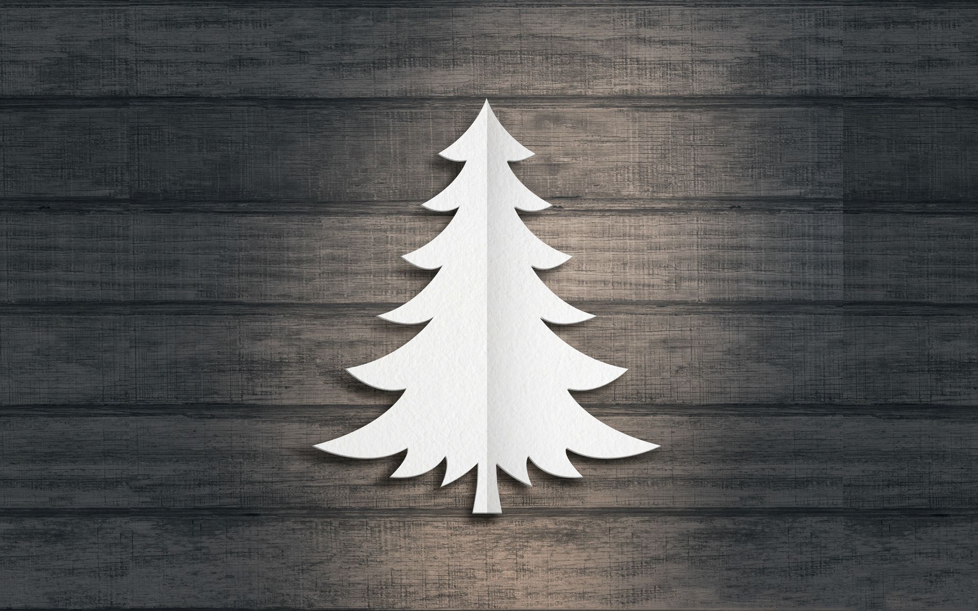 クリスマスミニマリスト壁紙,クリスマスツリー,コロラドスプルース,木,クリスマスの飾り,白松