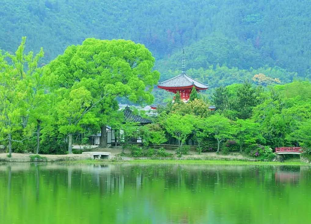 hermoso fondo de pantalla de la naturaleza,paisaje natural,naturaleza,recursos hídricos,verde,estación de la colina