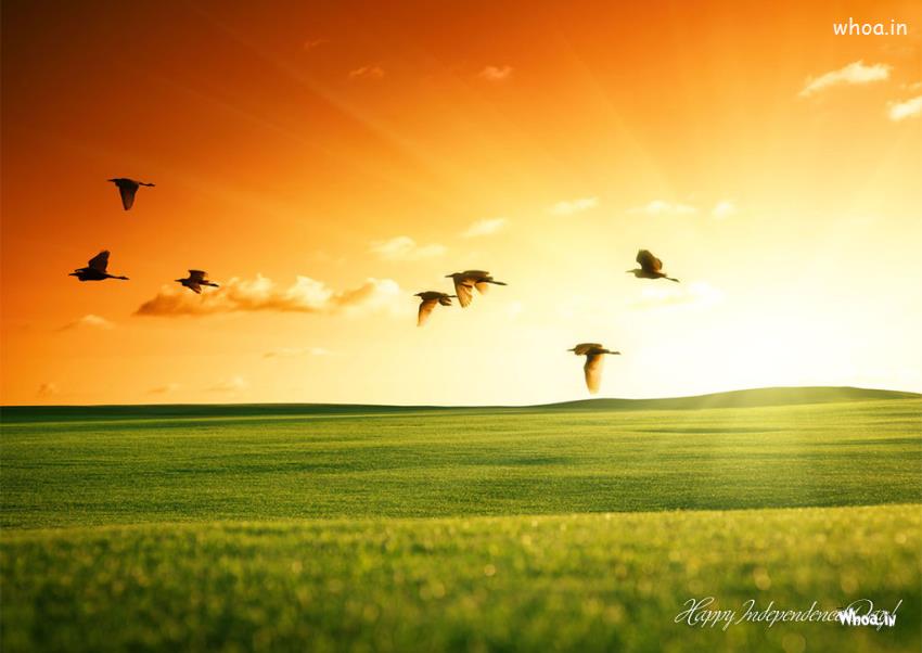 carta da parati di colore naturale,cielo,natura,prateria,paesaggio naturale,pianura