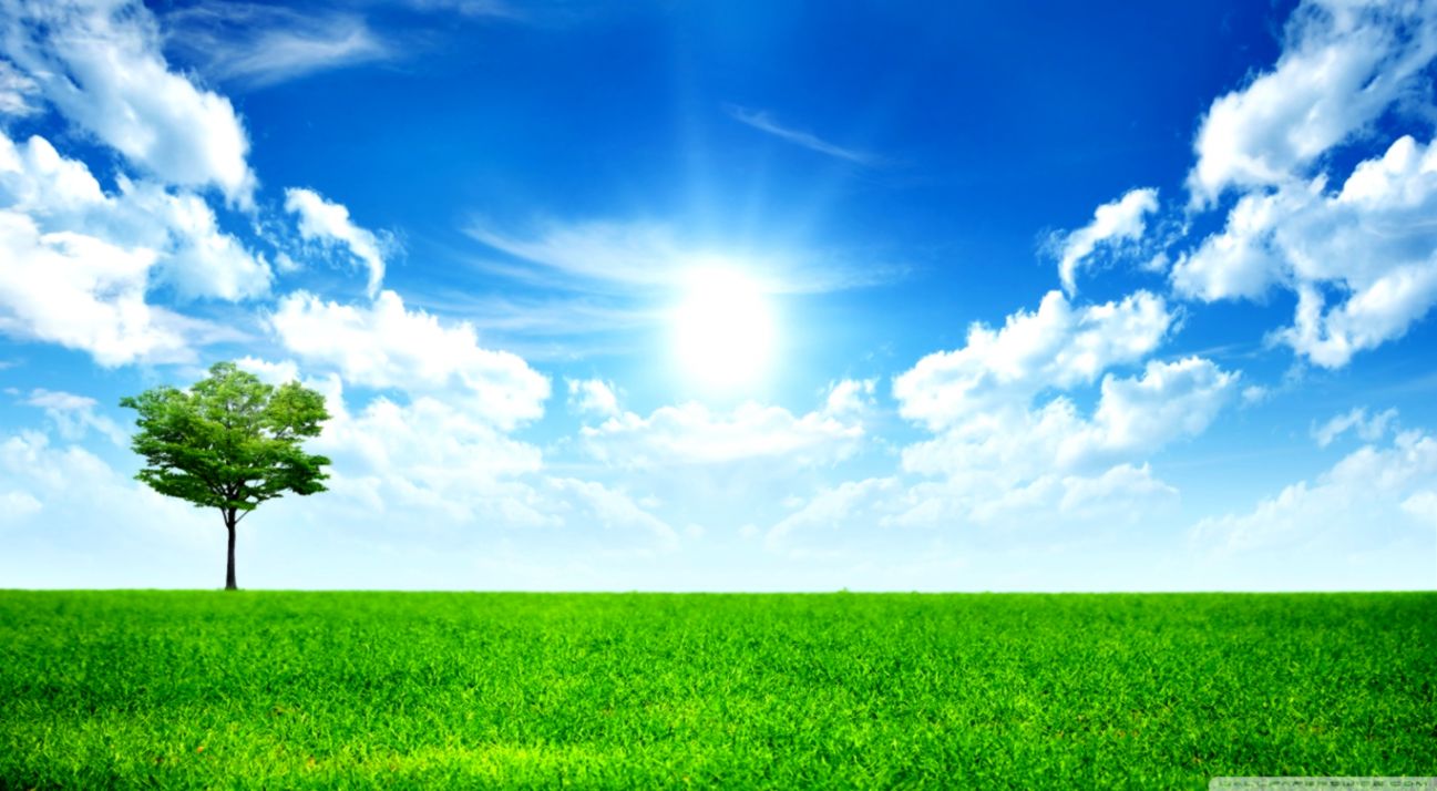 sfondo del desktop dello schermo,cielo,paesaggio naturale,verde,prateria,natura