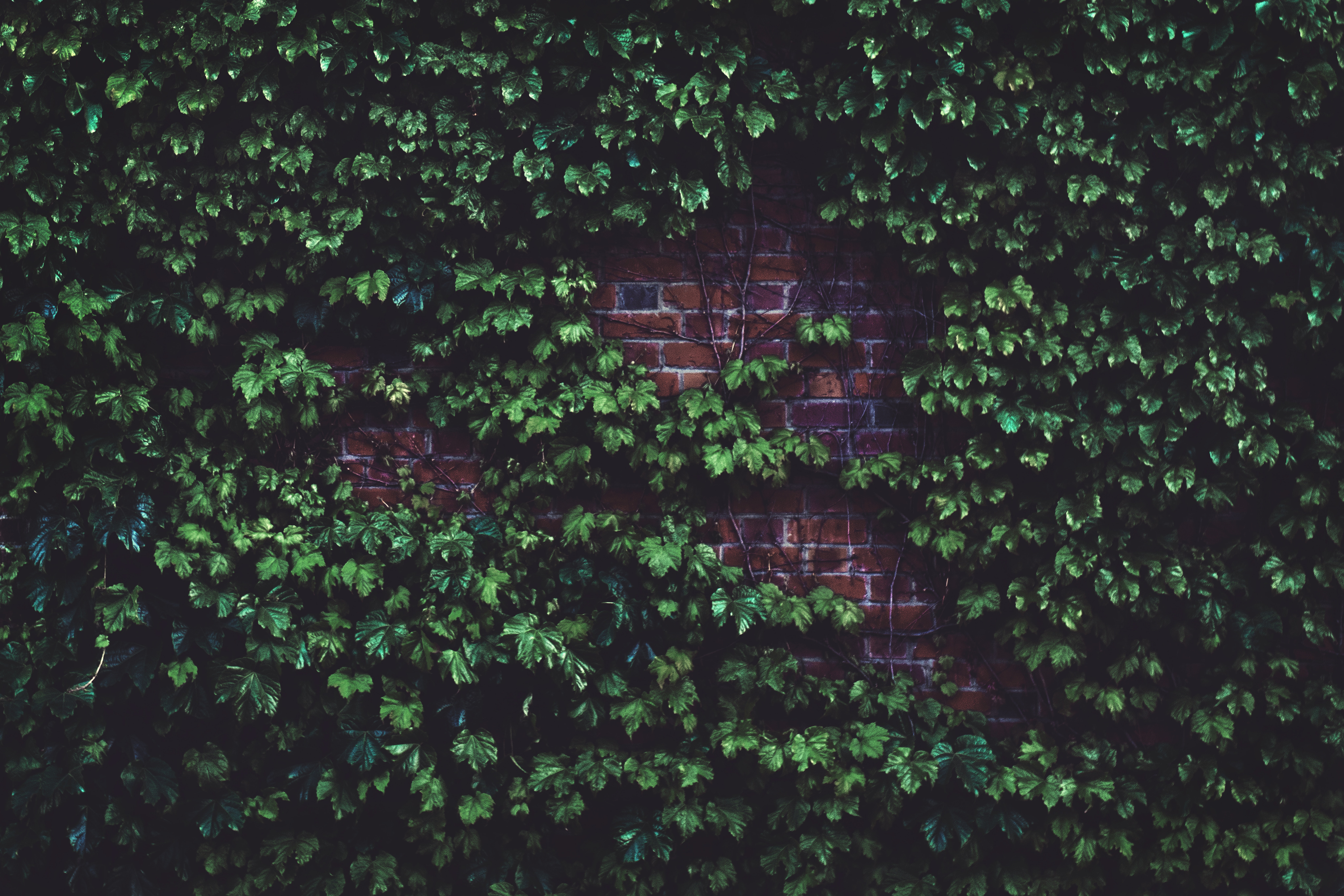 wall wallpaper hd images,green,space,darkness