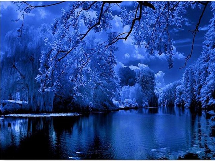 blue nature wallpaper,natural landscape,nature,reflection,blue,tree