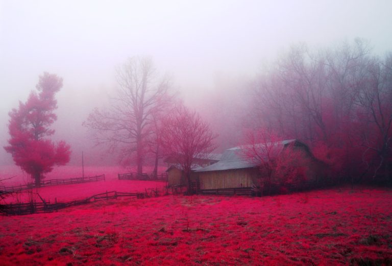 壁紙自然美しさピンク,赤,自然,霧,靄,空