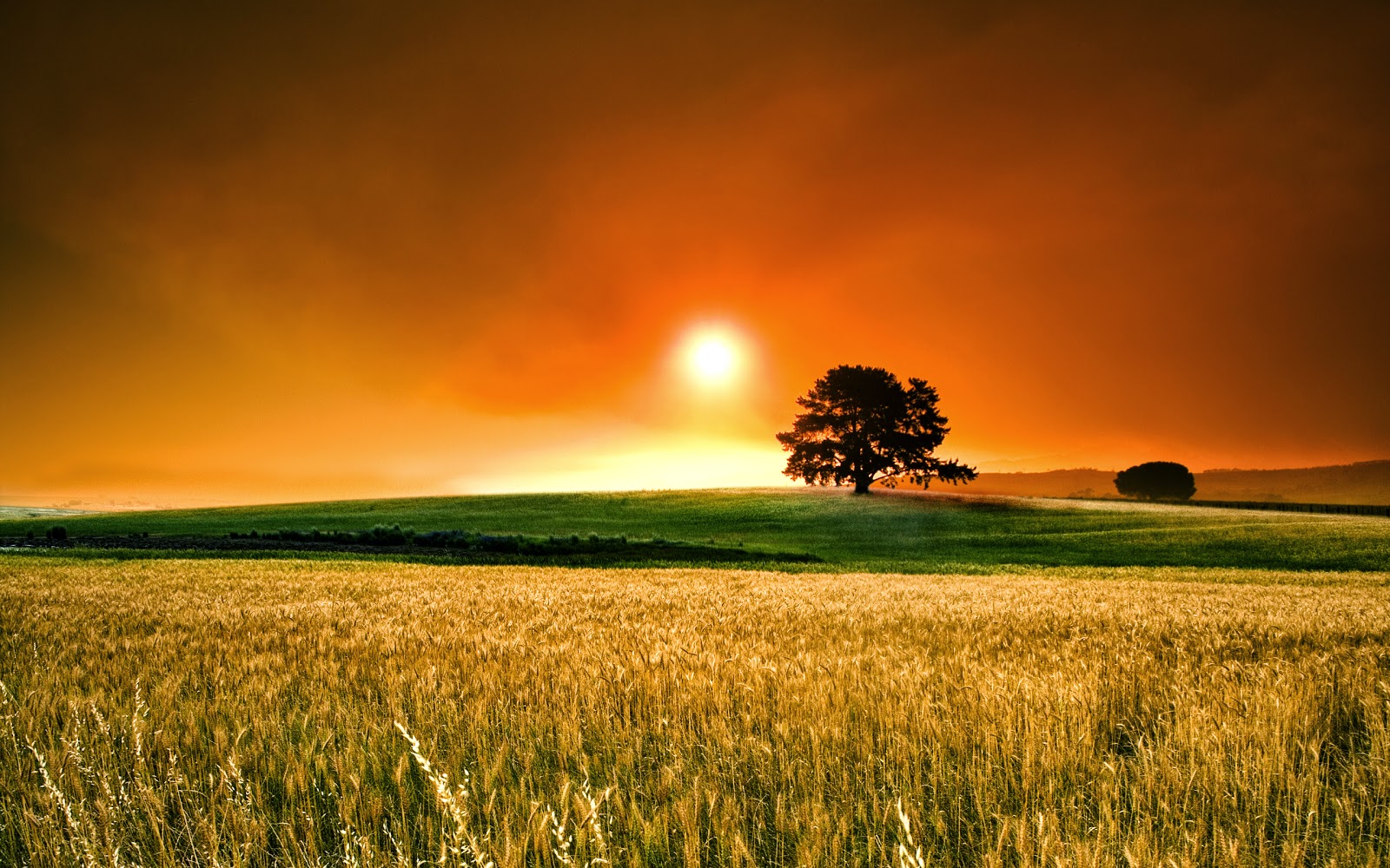 hq desktop hintergründe,natürliche landschaft,himmel,natur,feld,wiese