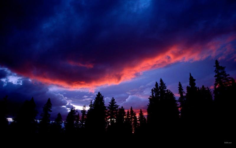 壁紙写真,空,自然,雲,木,残照