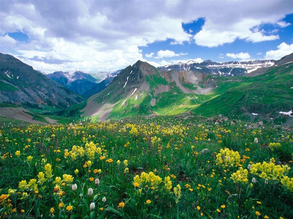 carta da parati,paesaggio naturale,natura,prato,montagna,prateria