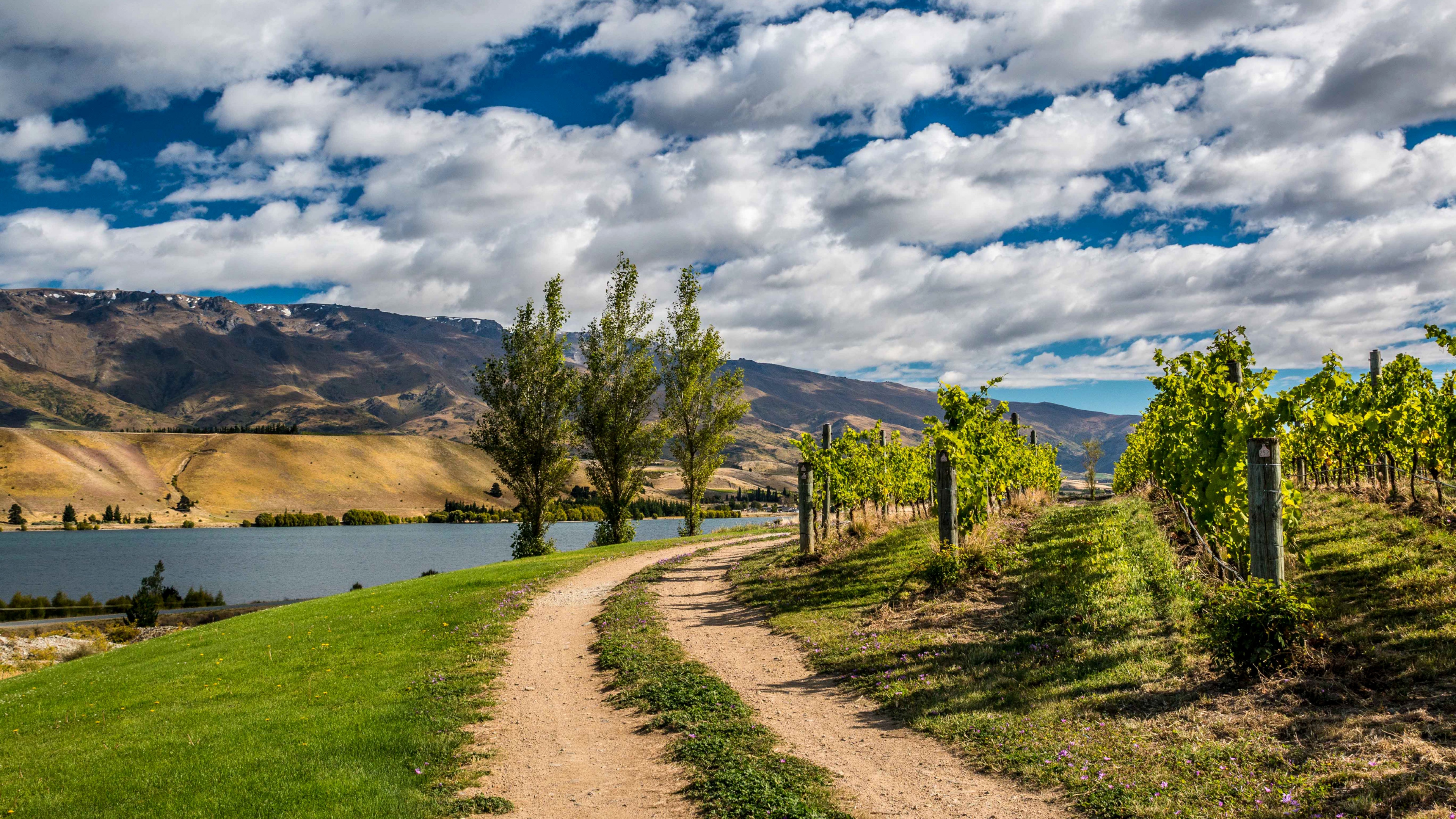 neues hintergrundbild,natürliche landschaft,natur,himmel,baum,berg