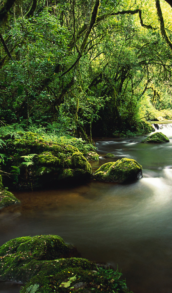 壁紙写真壁紙写真,自然の風景,自然,水域,水資源,ストリーム