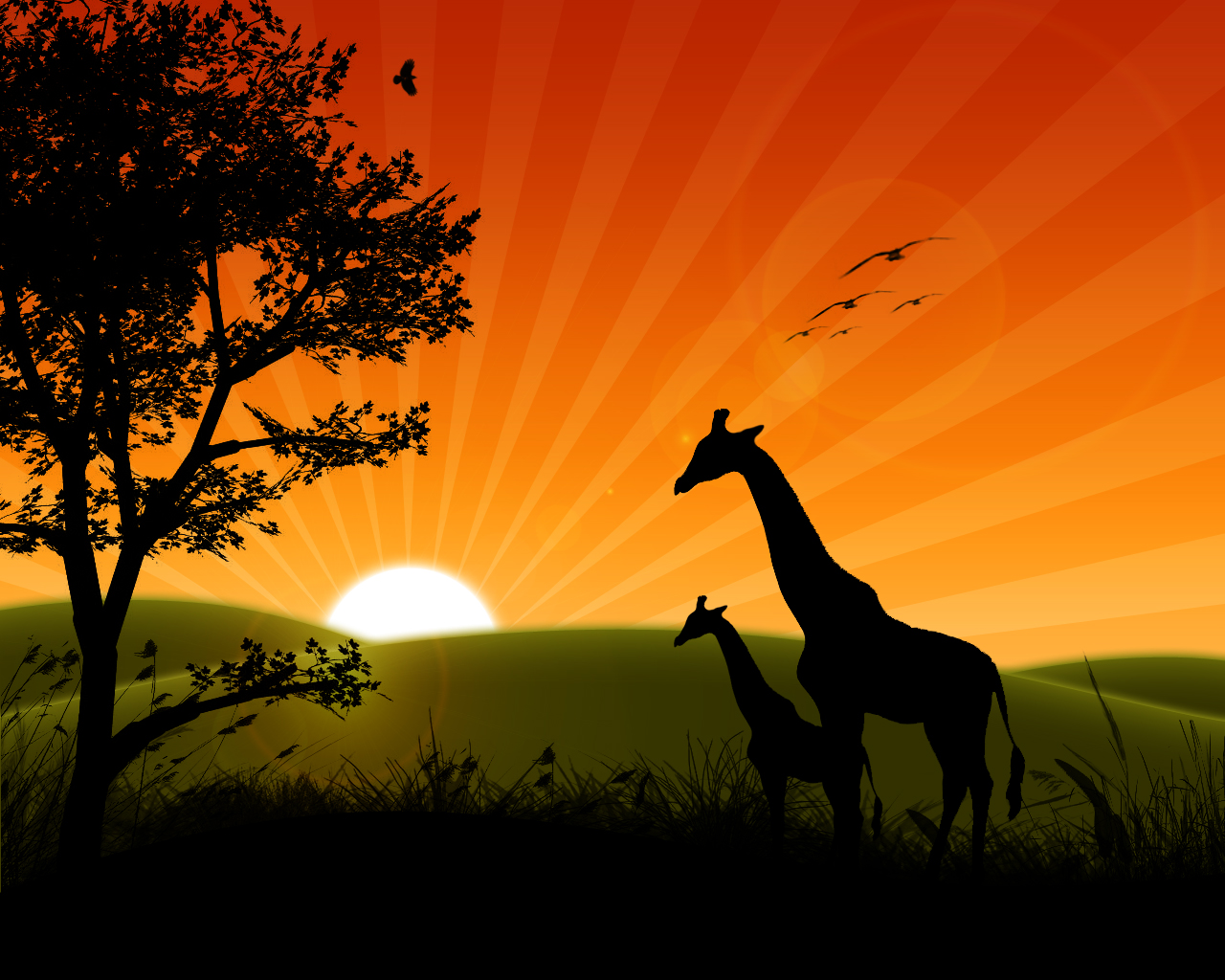 foto de fondo de pantalla foto de fondo de pantalla,fauna silvestre,pradera,sabana,cielo,jirafa