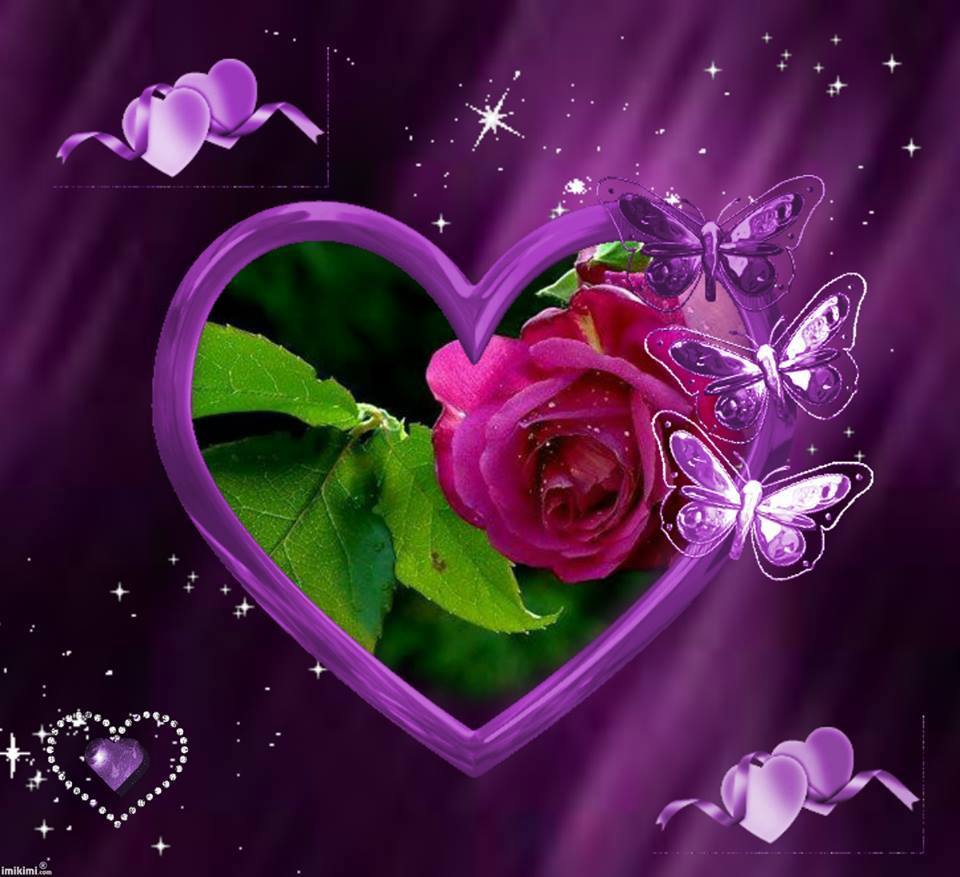 imej wallpaper,violeta,corazón,púrpura,amor,rosado