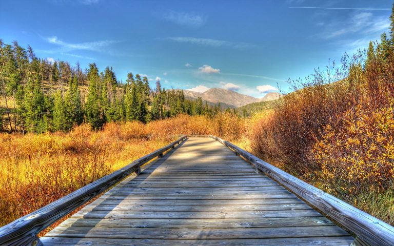 hd wallpaper jpg,natural landscape,nature,sky,boardwalk,tree