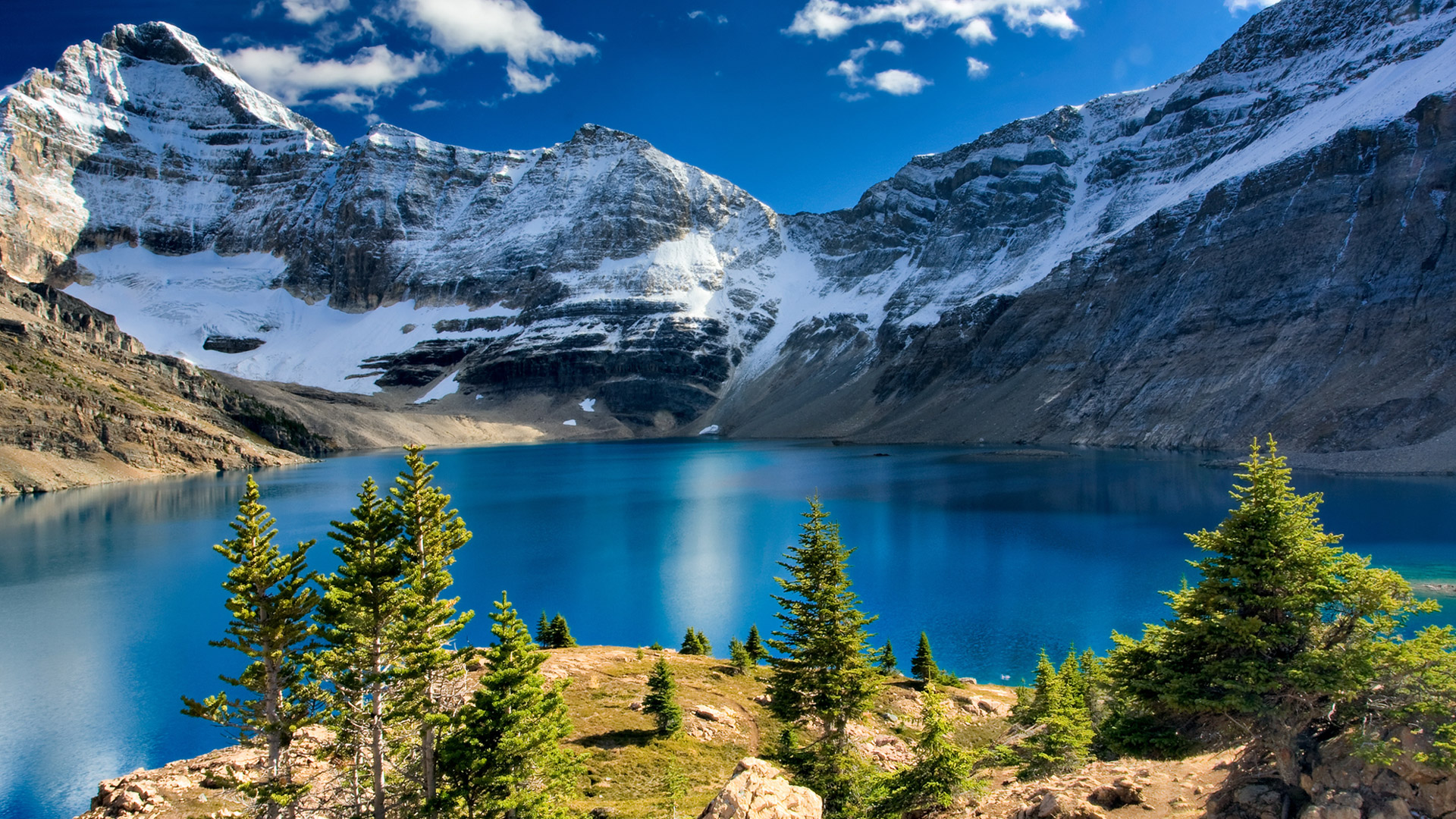 1920 por 1080 fondos de pantalla hd,montaña,paisaje natural,naturaleza,lago glacial,alerce larix lyalliisubalpine