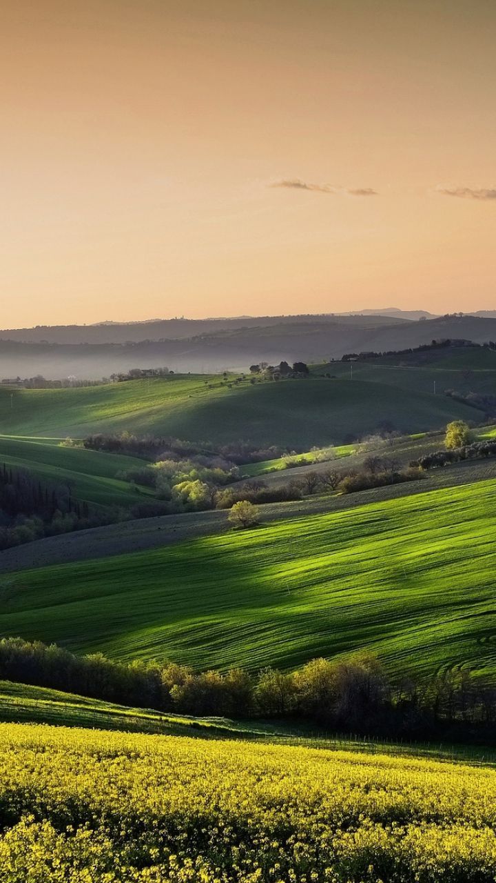 1080x1920 hd wallpaper mobile9,nature,grassland,field,plain,green