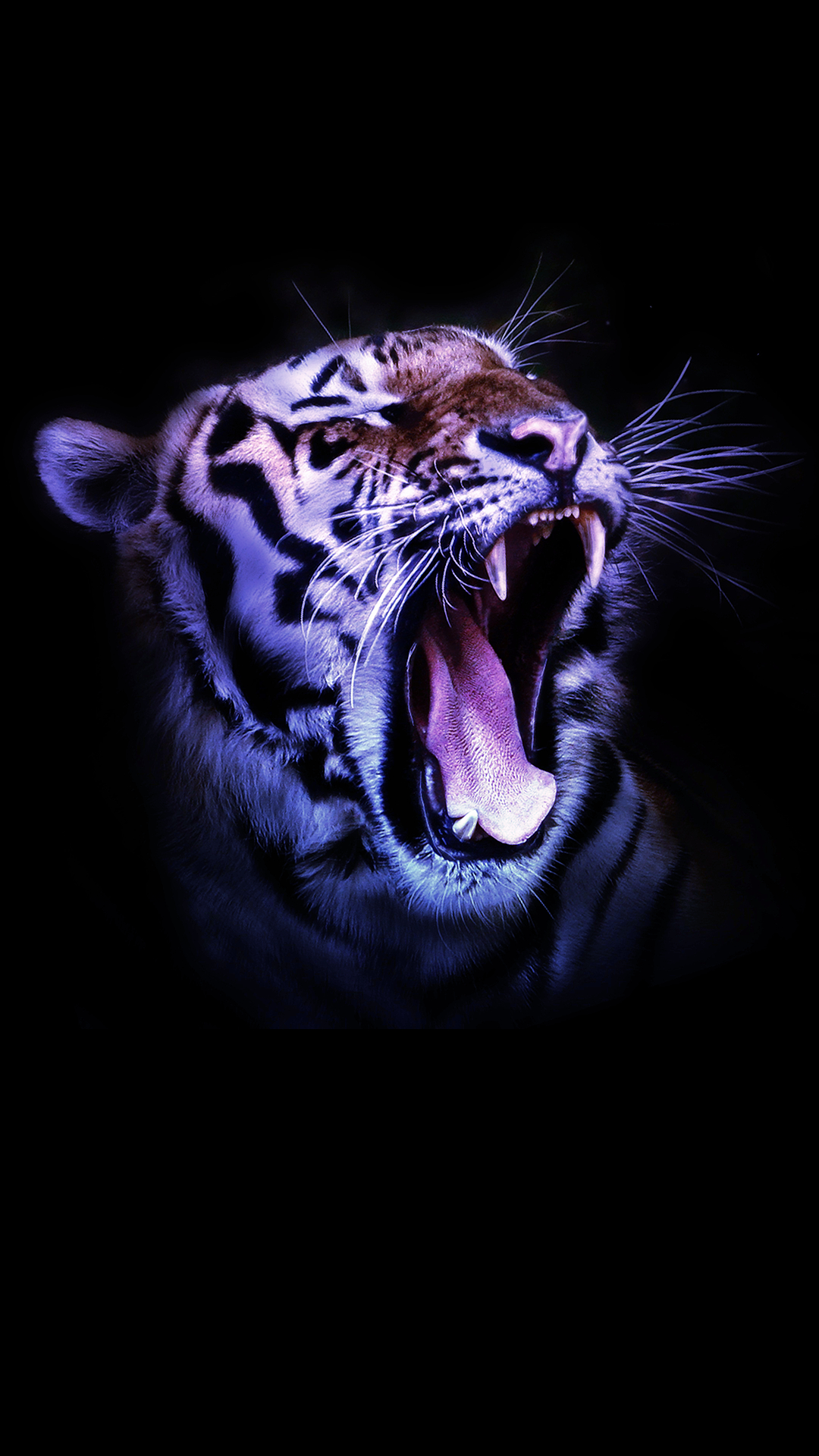 fhd wallpaper for mobile,roar,bengal tiger,felidae,facial expression,tiger