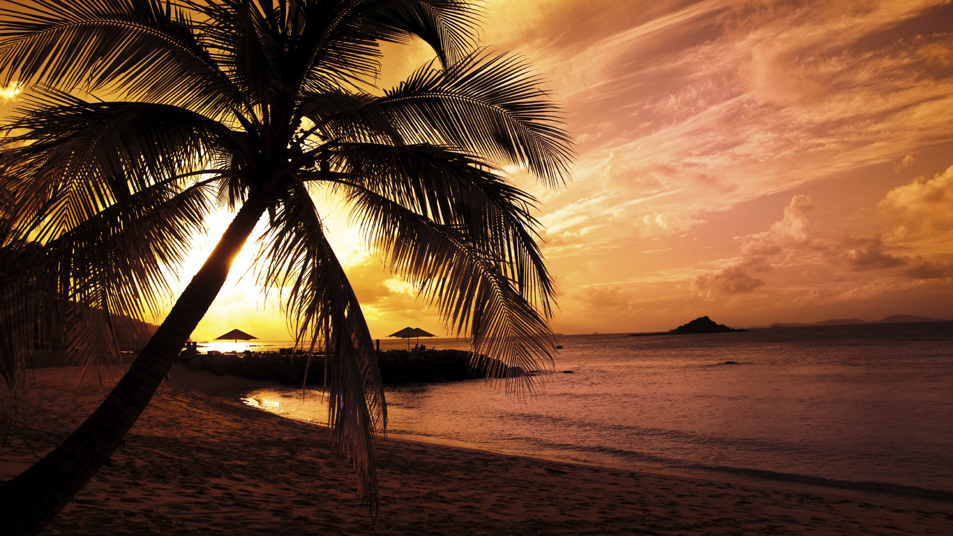 fonds d'écran full hd 1080p chaud,ciel,la nature,arbre,le coucher du soleil,palmier