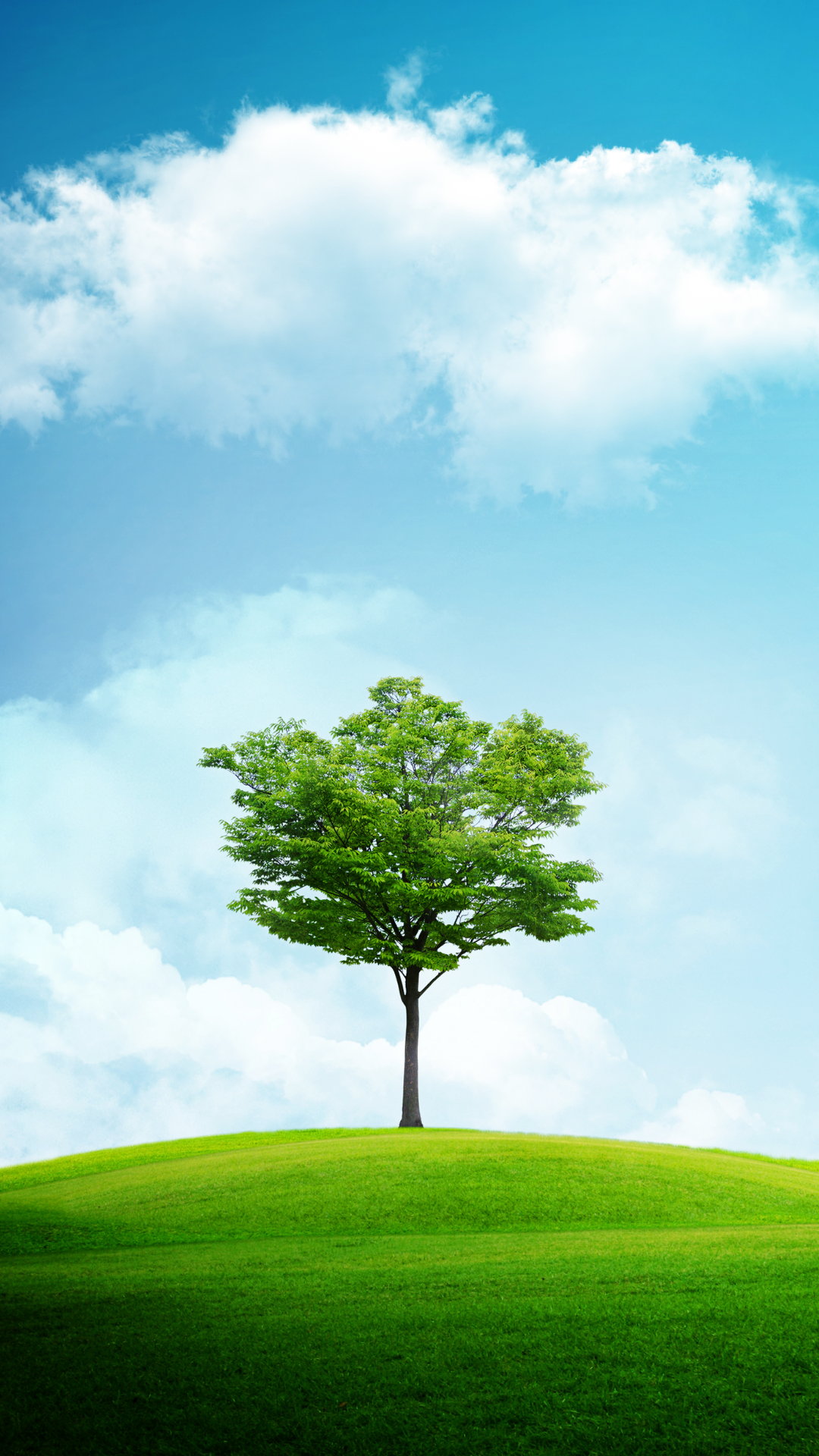 1080x1920 hd wallpaper pack,sky,natural landscape,green,nature,tree