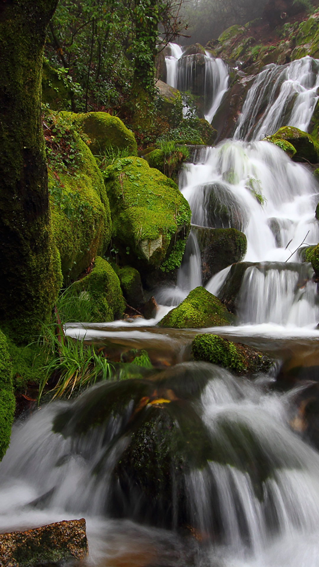 meilleurs fonds d'écran pour téléphones mobiles télécharger hd,cascade,plan d'eau,ressources en eau,paysage naturel,la nature