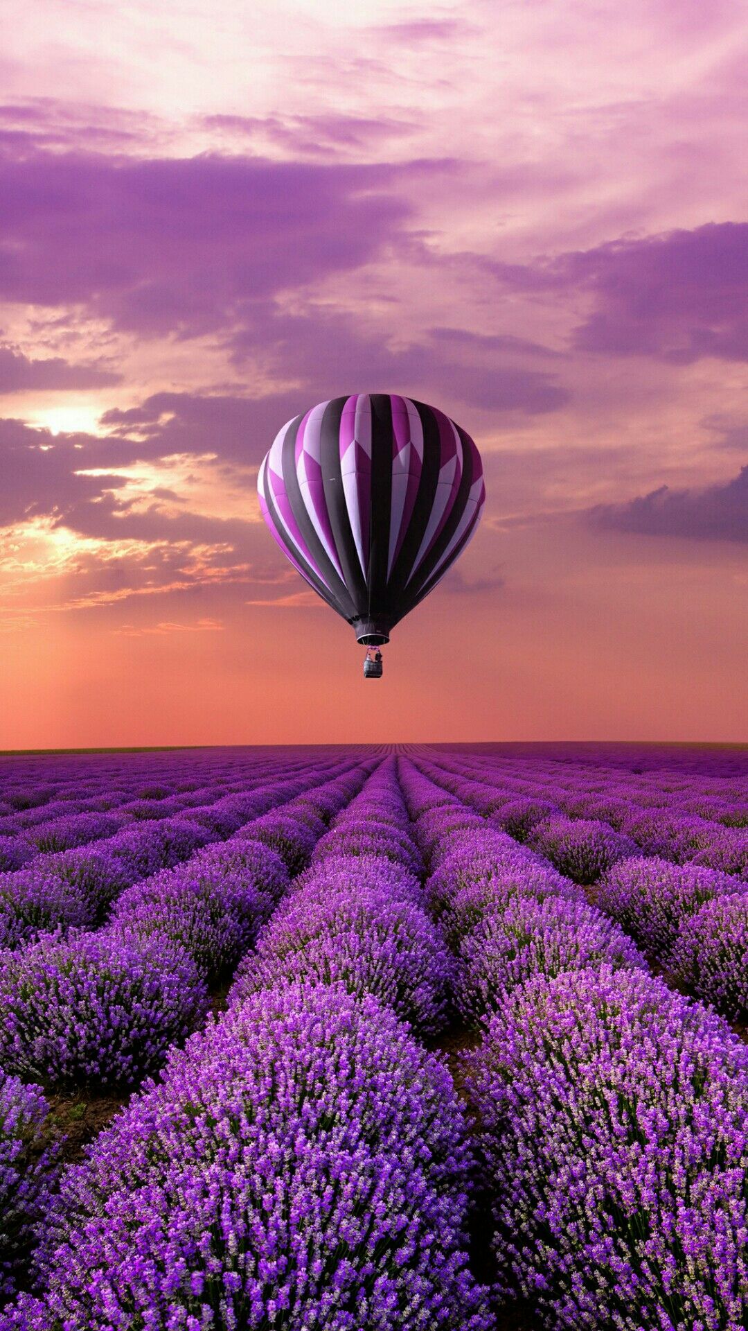 モバイル用の熱い壁紙,熱気球,熱気球,ラベンダー,空,紫の