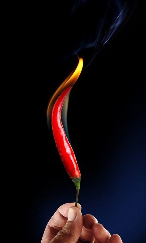 hot wallpaper for mobile,chili pepper,tabasco pepper,bell peppers and chili peppers,plant,peperoncini