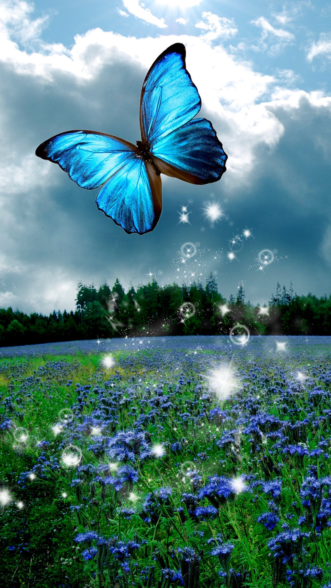 mobile wallpaper mobile wallpaper,butterfly,blue,nature,natural landscape,insect
