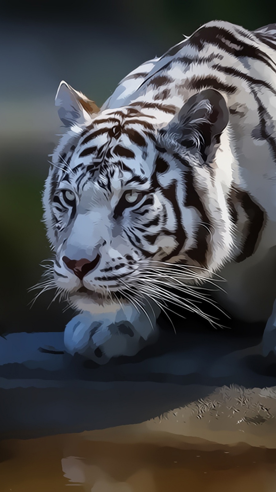 photo de fond d'écran mobile,tigre,faune,tigre du bengale,félidés,moustaches