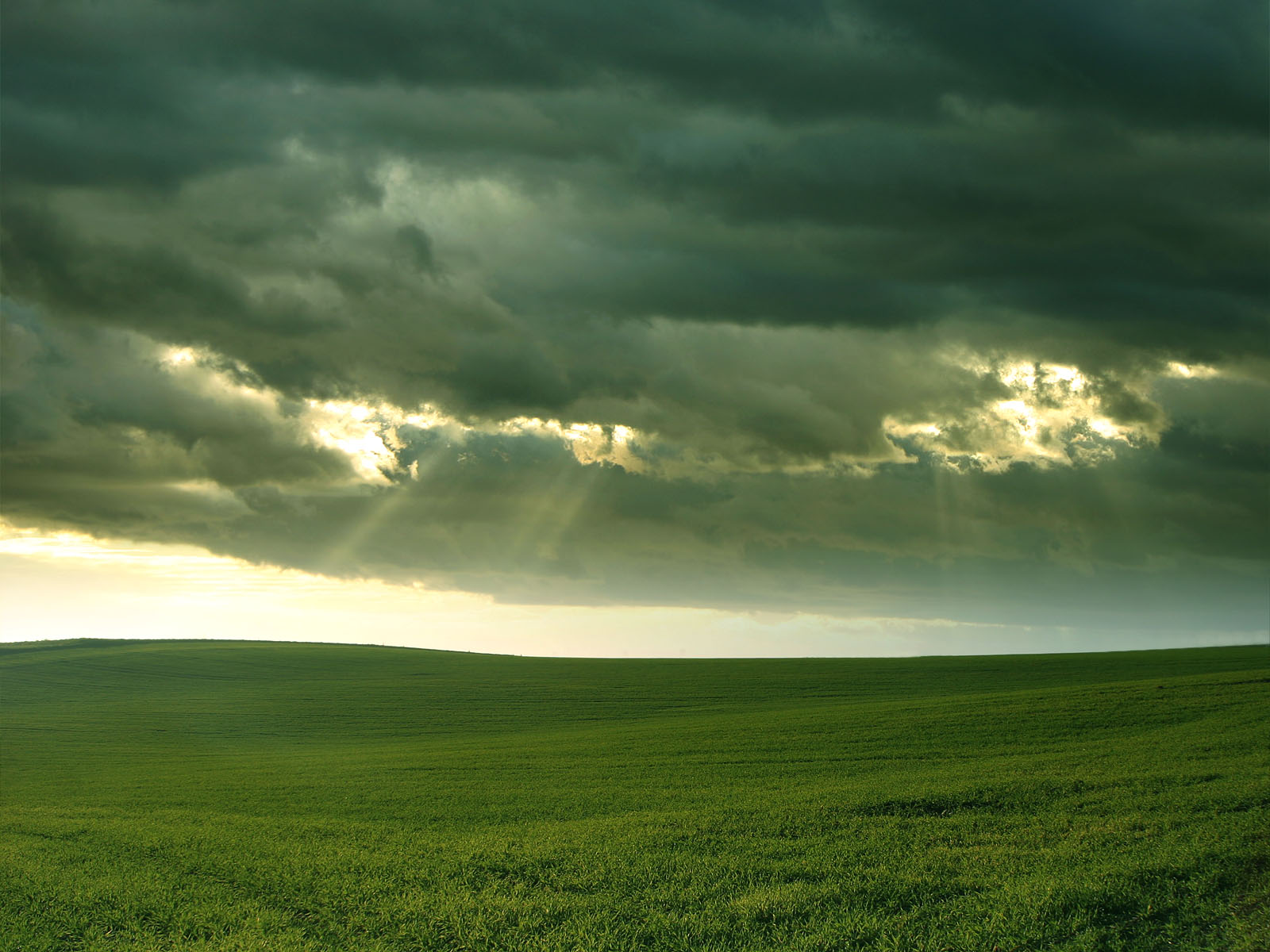 モバイル用hq壁紙,空,緑,草原,雲,自然