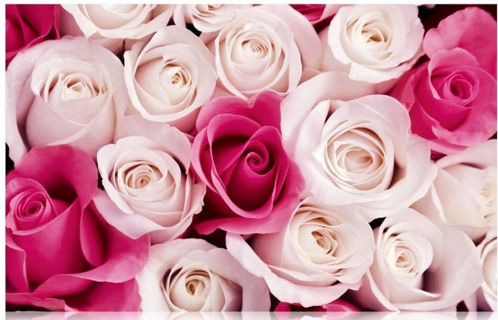 3d花の壁紙ローズ,庭のバラ,ローズ,ピンク,花,花弁