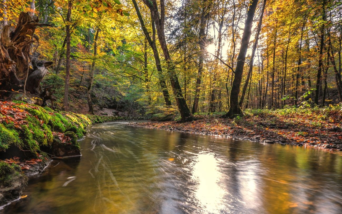 fondo de pantalla de alta calidad de alta definición para móviles,paisaje natural,naturaleza,cuerpo de agua,corriente,banco