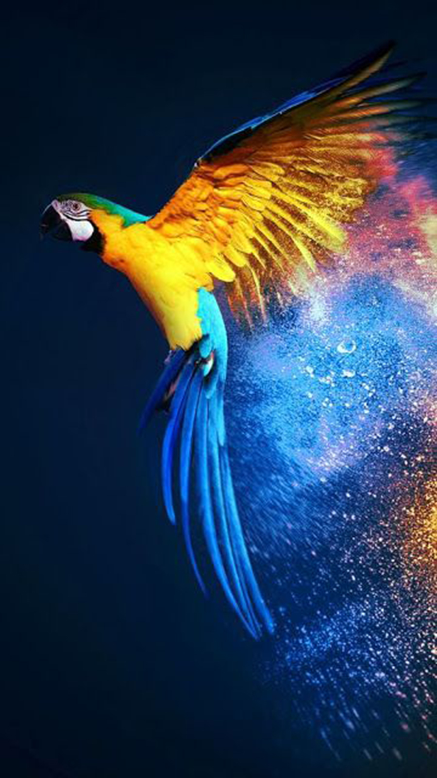 best wallpapers for mobile free download,bird,macaw,beak,parrot,wing