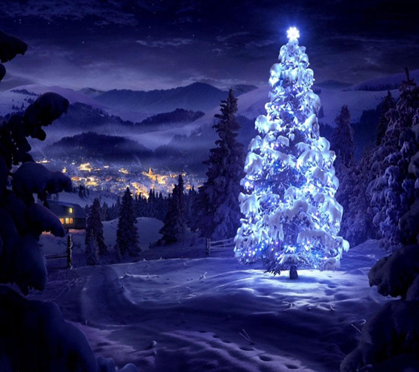 mobile9 배경 화면 hd,자연,하늘,크리스마스 트리,푸른,나무