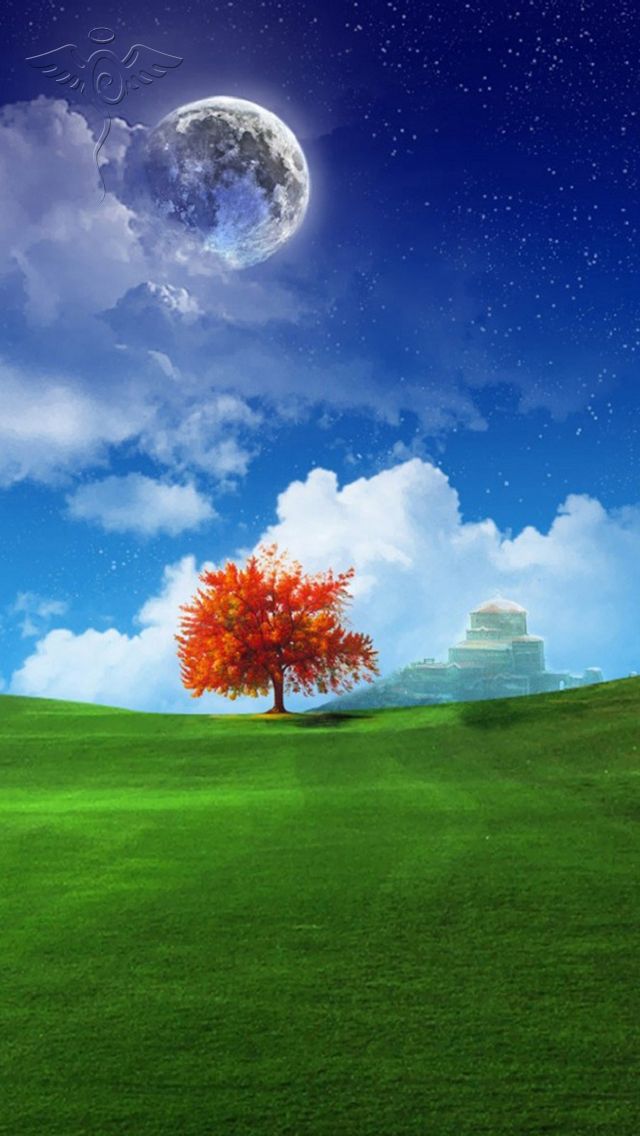 wallpaper für handy kostenloser download,himmel,natürliche landschaft,natur,tagsüber,wiese