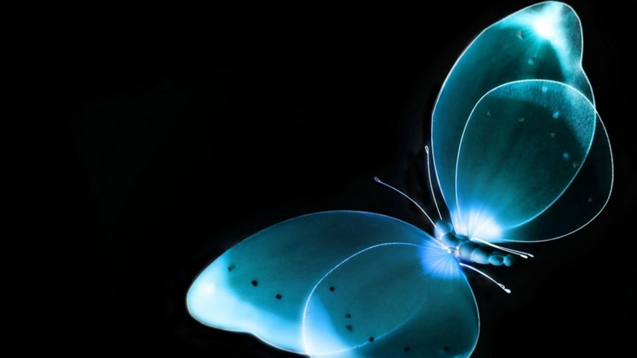 wallpaper for mobile phone free download,blue,organism,bioluminescence,turquoise,macro photography