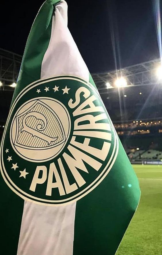 wallpaper palmeiras celular,games