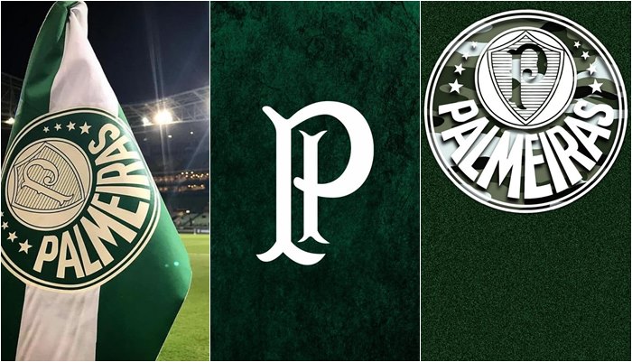 papier peint palmeiras celular,boisson,bière,jersey,liqueur,graphique