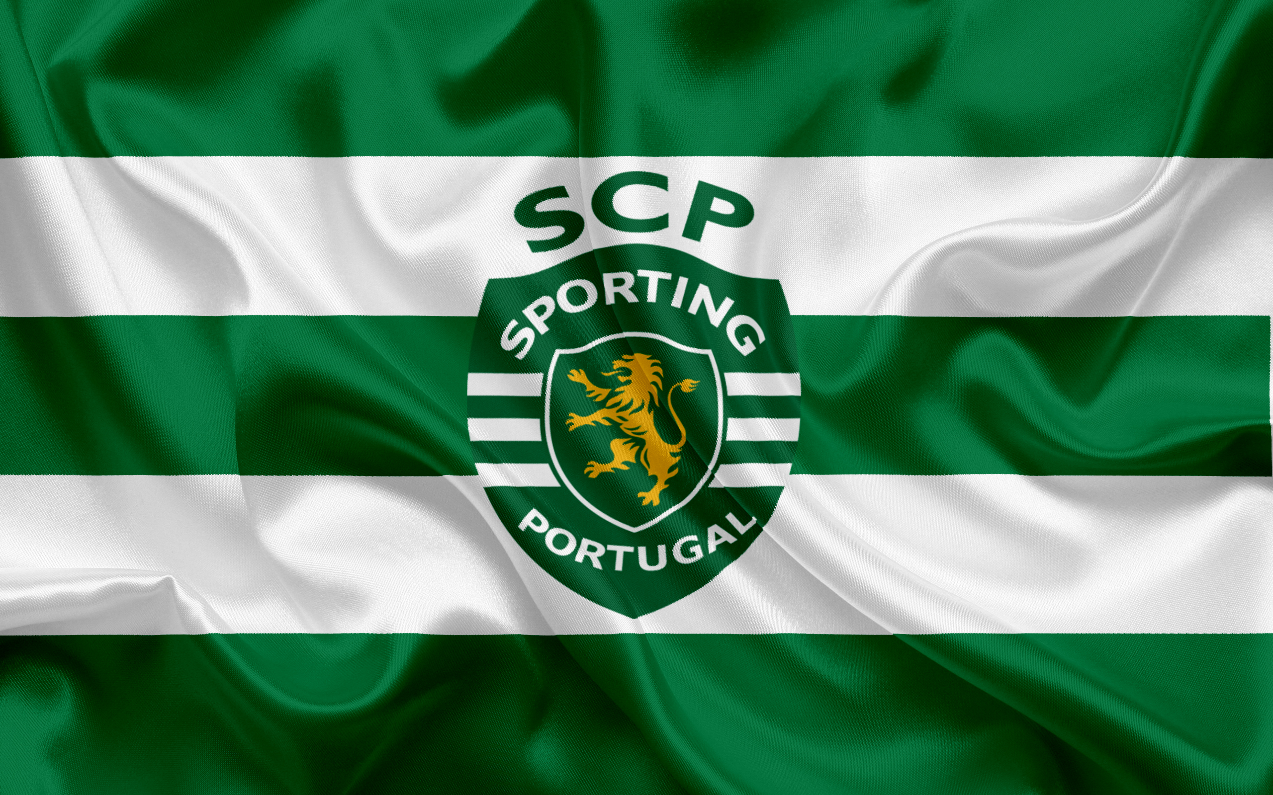 sporting wallpaper,flag,green,jersey,sportswear,logo