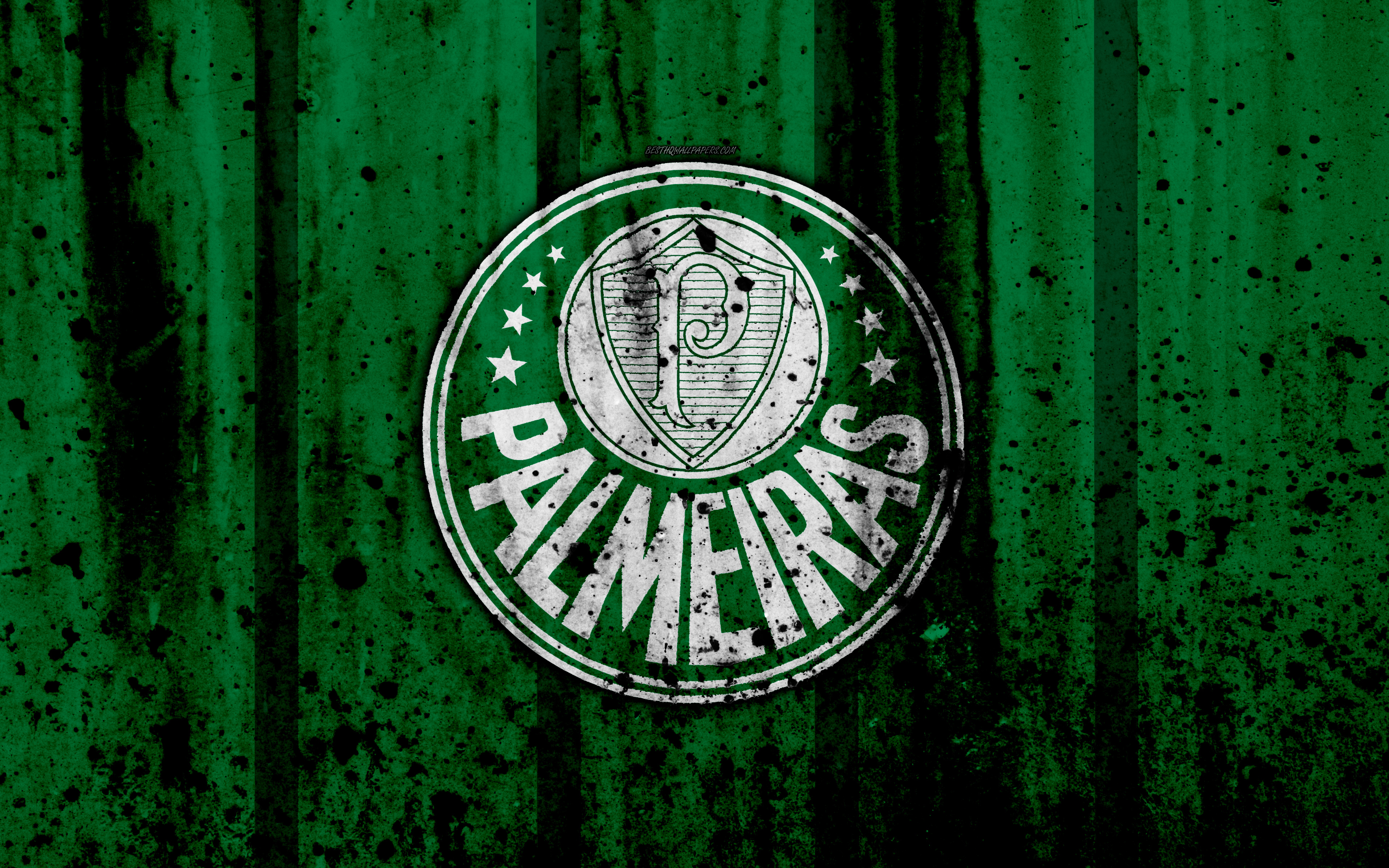 wallpaper do palmeiras,verde,emblema,erba,font,grafica